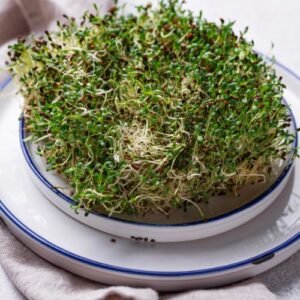 Microgreens de Alfalfa - 80g